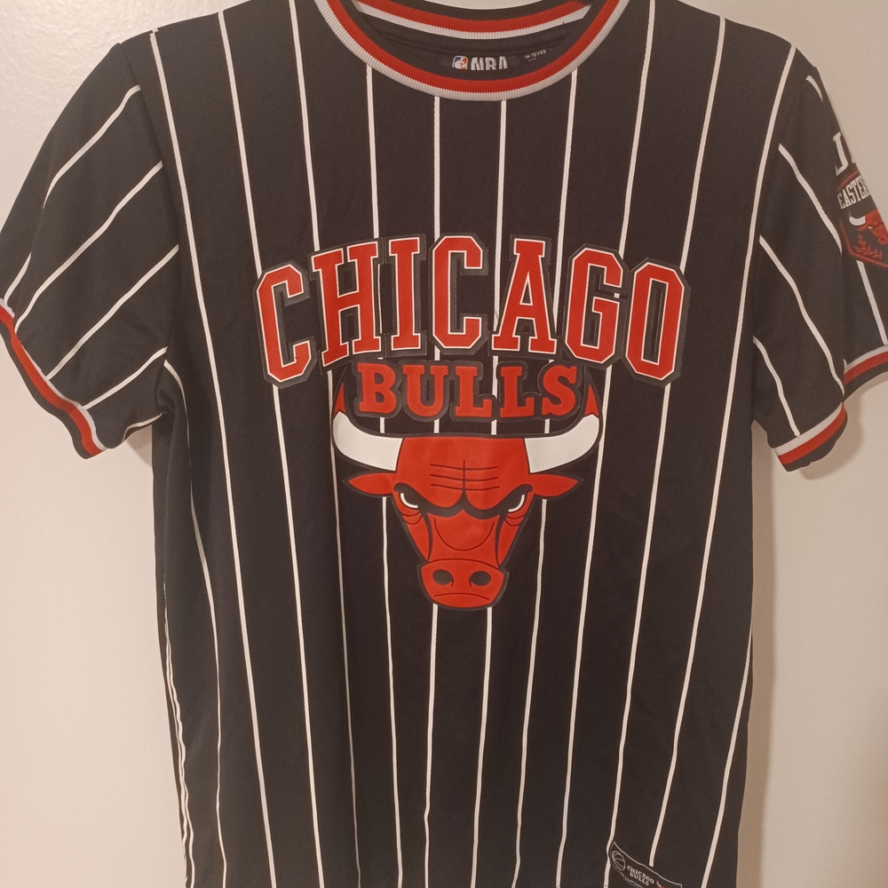 NBA Chicago Bulls Striped Jersey